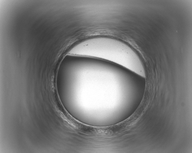 X0000066540585200603171057