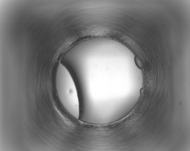 X0000066540586200603171057