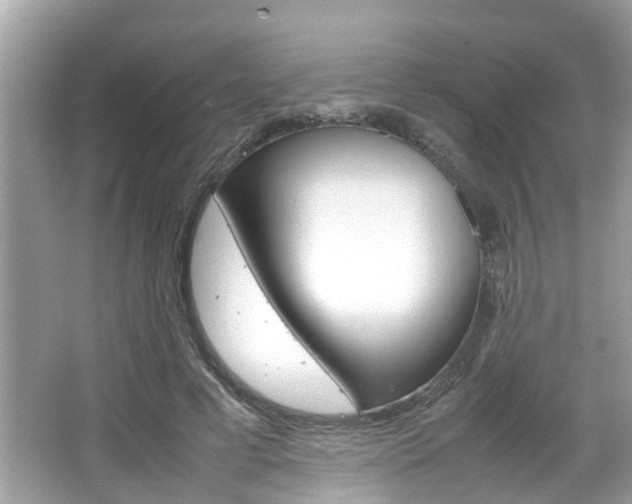 X0000066540593200603171057