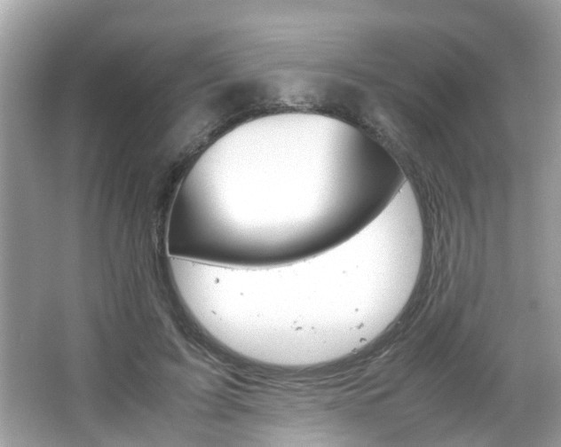 X0000066540595200603171057
