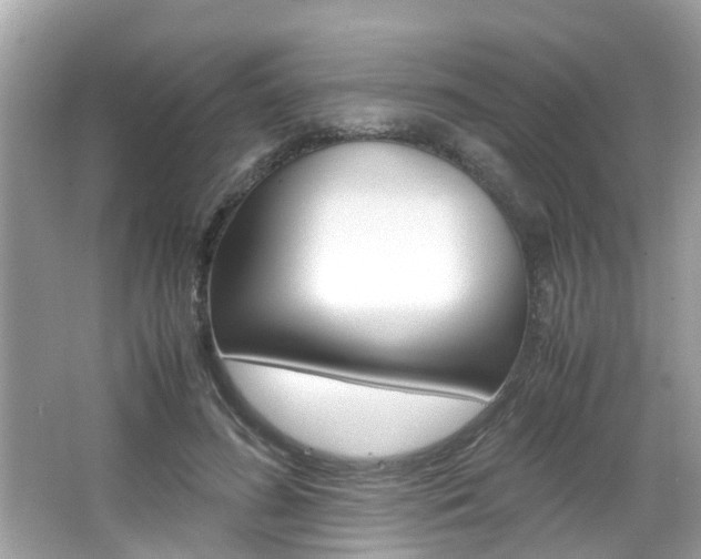 X0000066540596200603171057