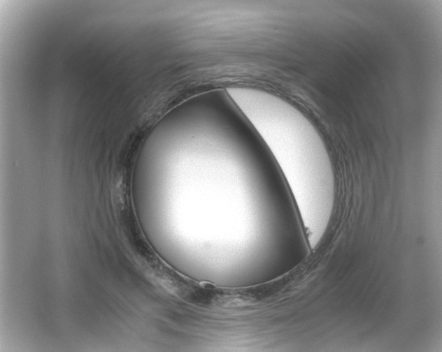 X0000066540597200603171057