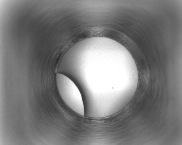 X0000066540602200603171057