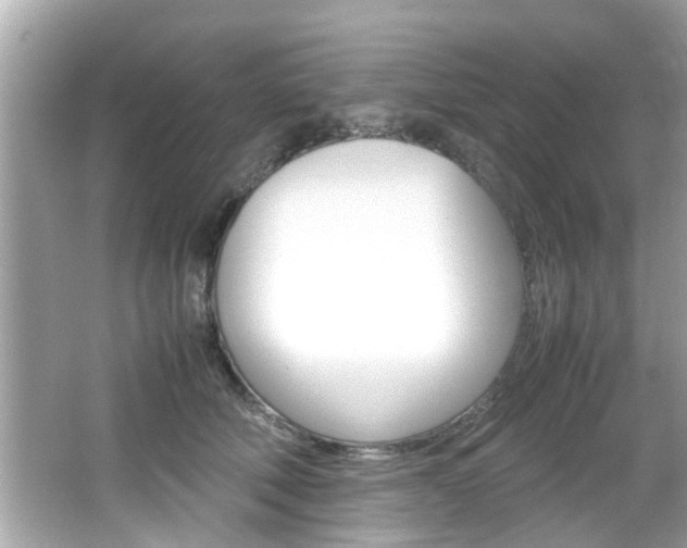 X0000066540610200603171057