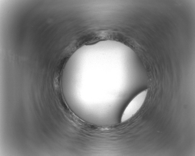 X0000066540611200603171057