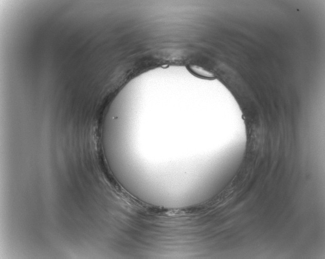 X0000066540612200603171057