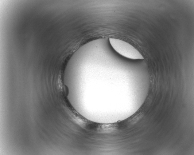 X0000066540622200603171057