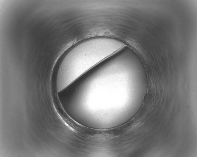 X0000066540630200603171056