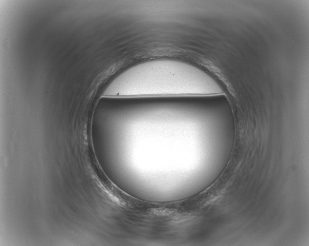 X0000066540633200603171056