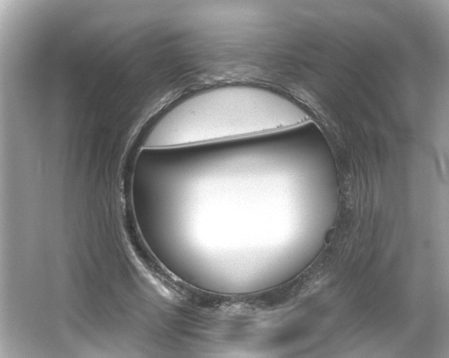 X0000066540634200603171056