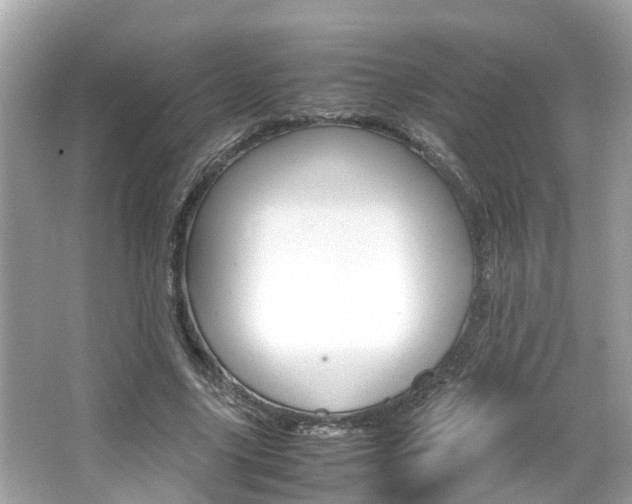 X0000066540635200603171056