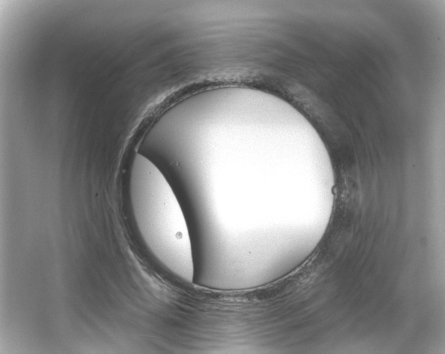 X0000066540636200603171056