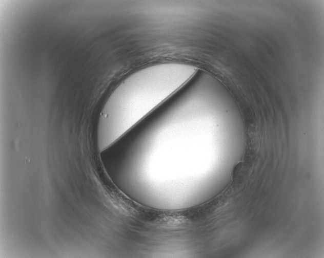 X0000066540642200603171056