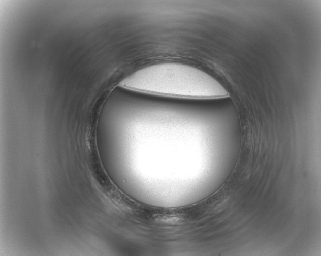X0000066540643200603171056