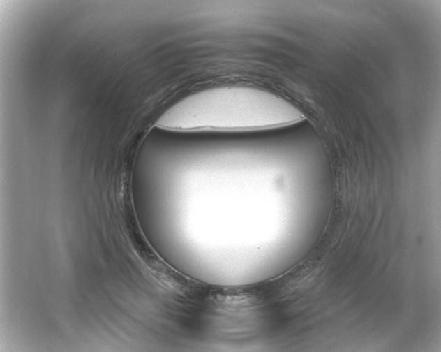 X0000066540645200603171056