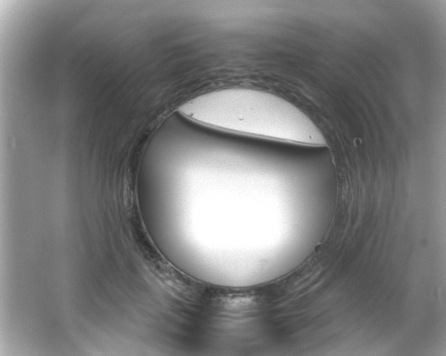X0000066540651200603171056