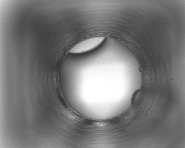 X0000066540654200603171056