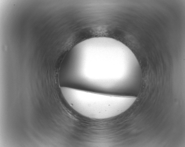 X0000066540658200603171056
