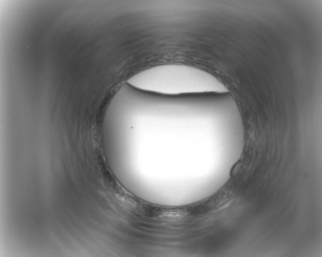 X0000066540659200603171056