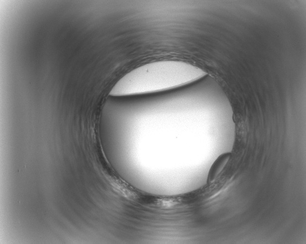X0000066540662200603171056