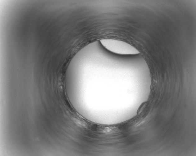 X0000066540663200603171056