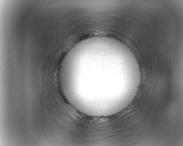 X0000066540667200603171056