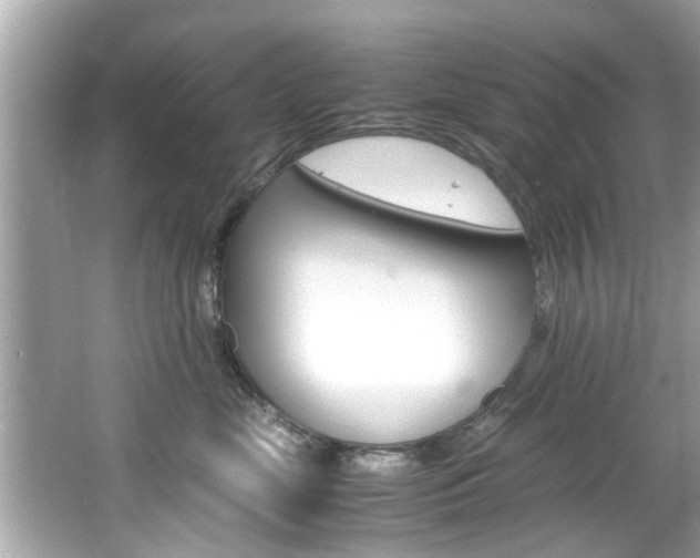 X0000066540669200603171056
