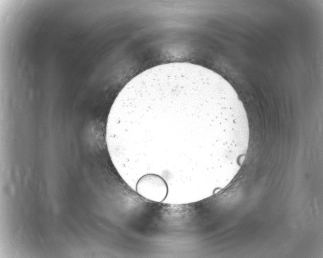 X0000066540672200603171057