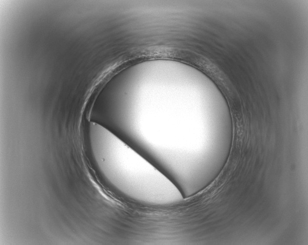 X0000066540674200603171056