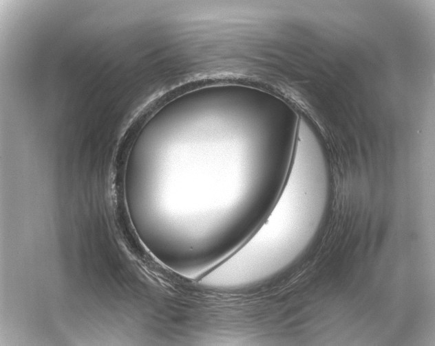X0000066540676200603171056