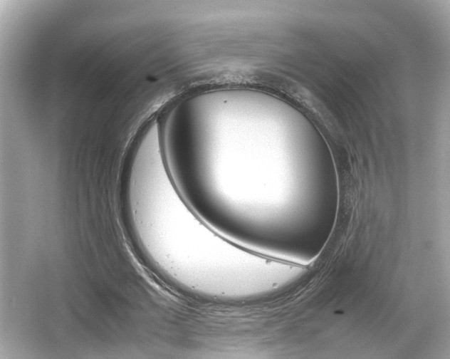 X0000066540677200603171056