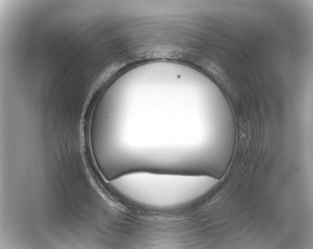 X0000066540678200603171056