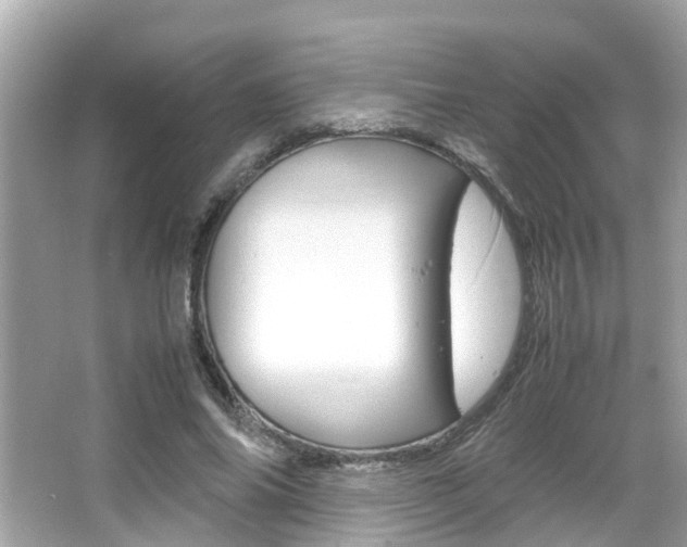 X0000066540686200603171056