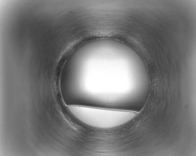 X0000066540688200603171055