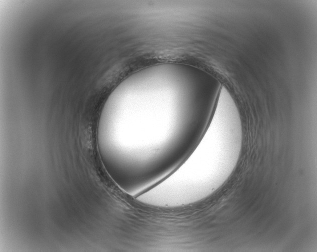X0000066540689200603171055