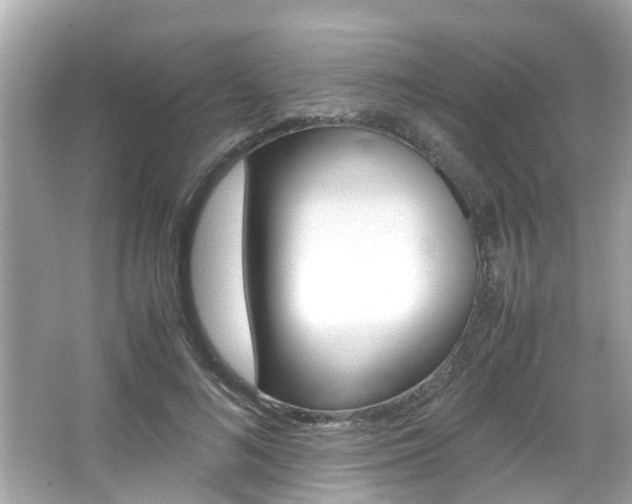X0000066540692200603171055