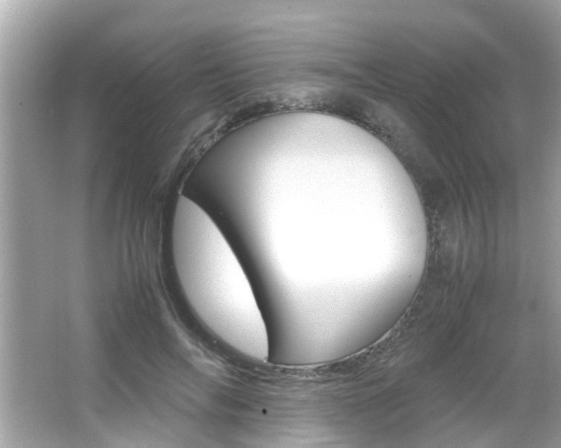 X0000066540694200603171055