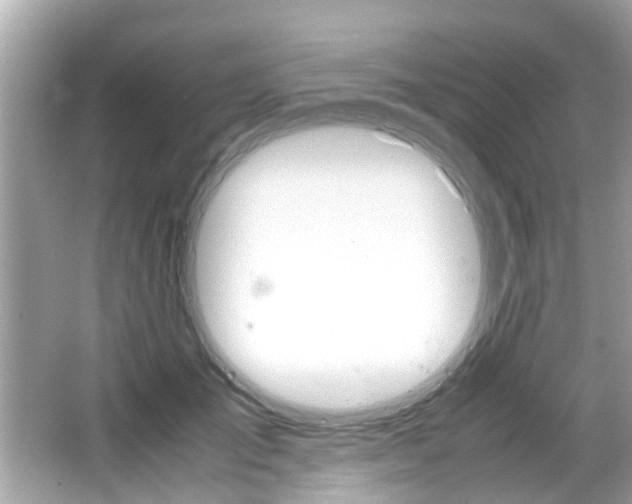 X0000066540701200603171055
