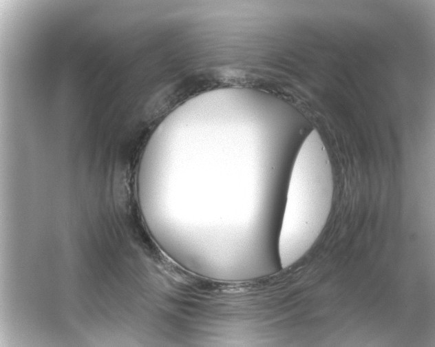 X0000066540702200603171055
