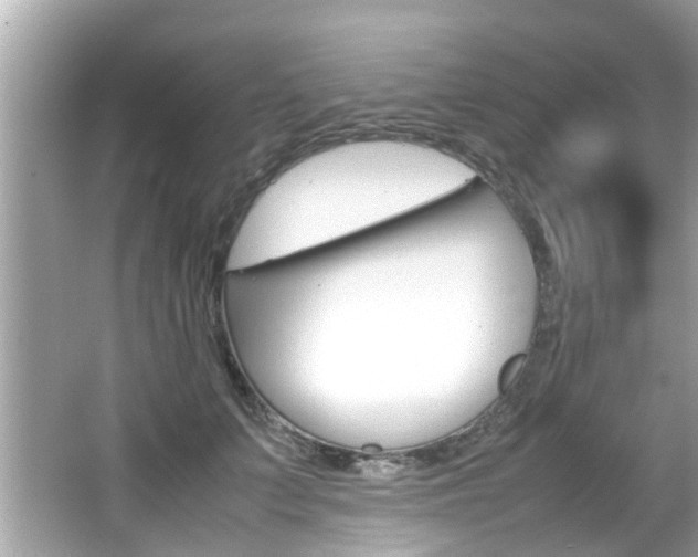 X0000066540703200603171055
