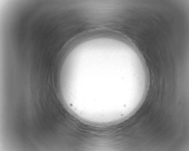 X0000066540705200603171055