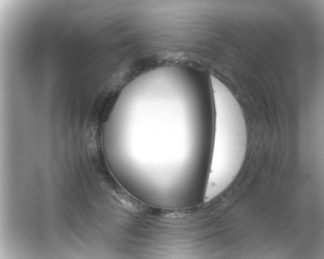X0000066540708200603171055