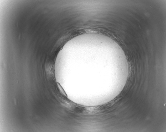 X0000066540713200603171055