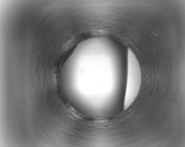 X0000066540716200603171055