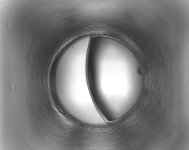 X0000066540722200603171054