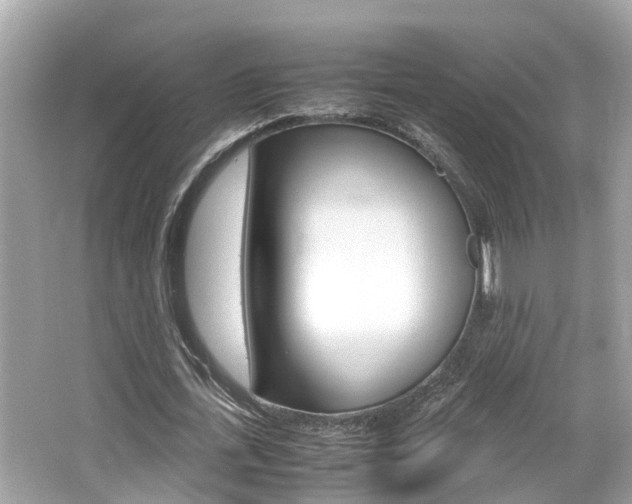 X0000066540723200603171054