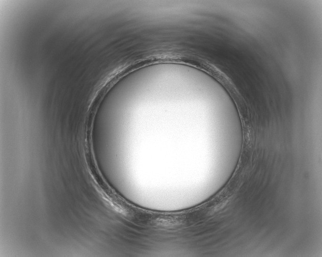 X0000066540725200603171054