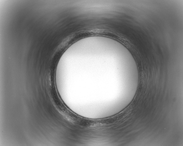 X0000066540734200603171054