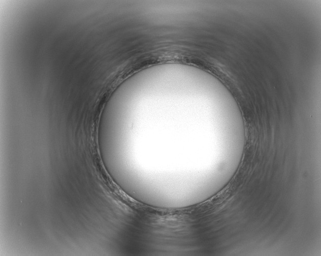 X0000066540737200603171054