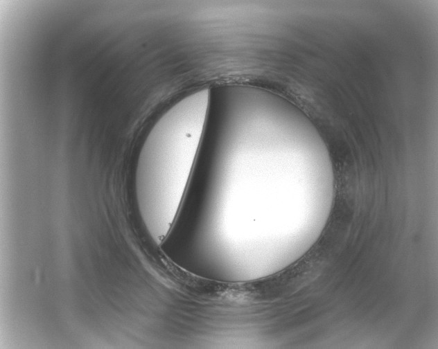 X0000066540742200603171055